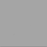 Click to see f53257flN_.htm