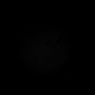 Click to see f54086flN_.jpg