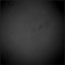 Click to see f54590flB_.jpg