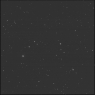 Click to see p53475_ALF.jpg