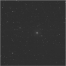 Click to see p53646_ALO.jpg