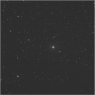 Click to see p53646_ALP.jpg