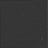 Click to see p53668_ANT.jpg