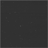 Click to see p53688_ALO.jpg