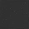 Click to see p53711_AFM.jpg