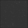 Click to see p53729_ANC.jpg