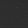 Click to see p53742_AEL.jpg