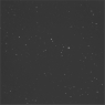 Click to see p53898_AEL.jpg