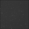 Click to see p54919_AFM.jpg