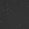 Click to see p54919_ALB.jpg