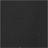 Click to see p54964_AFM.jpg