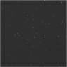 Click to see p55245_AFM.jpg