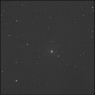 Click to see p55518_AKT.jpg