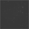 Click to see p55538_ADN.jpg