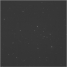Click to see p55637_ABI.jpg