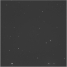 Click to see p55647_AFM.jpg
