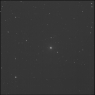 Click to see p55986_ABI.jpg
