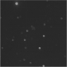 Click to see p56421_AGG.jpg
