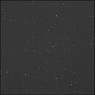 Click to see p57346_ANK.jpg