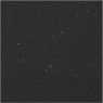 Click to see p57356_ACE.jpg