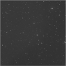 Click to see p57458_ADH.jpg